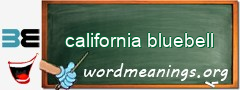 WordMeaning blackboard for california bluebell